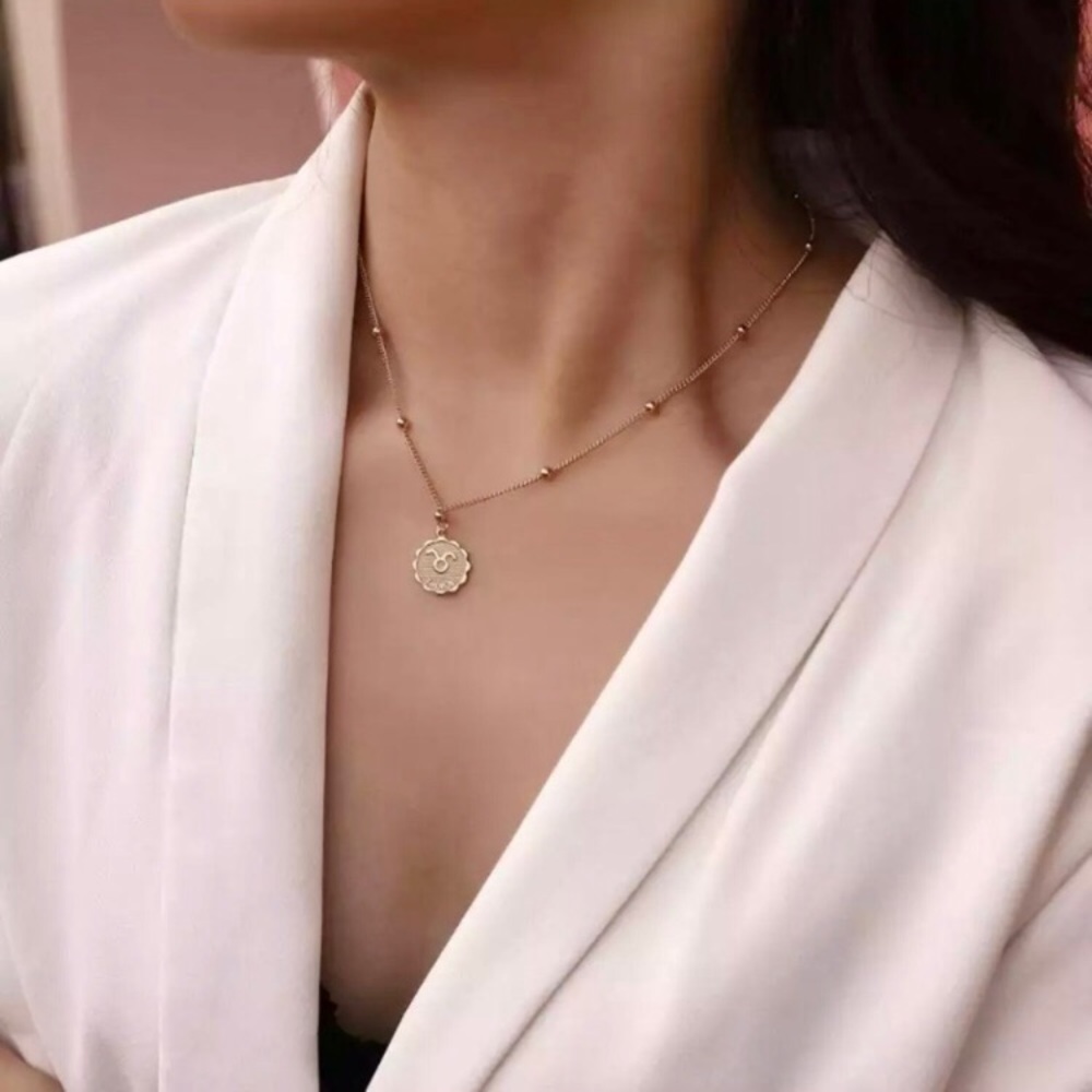 Taurus April-May Zodiac Beaded Horoscope Necklace - Picture 4 of 12